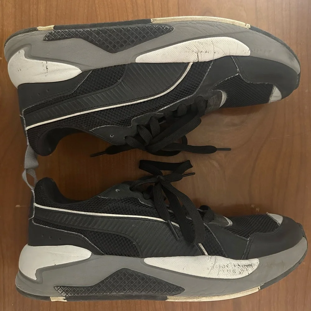 Puma pumax ray